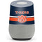 Auburn University Tigers AU Google Home Skin