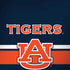 Auburn University Tigers AU Moto G6 Skin