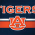 Auburn University Tigers AU HP Spectre Skin