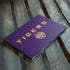 Louisiana State University - LSU Tigers Purple HP Envy Skin