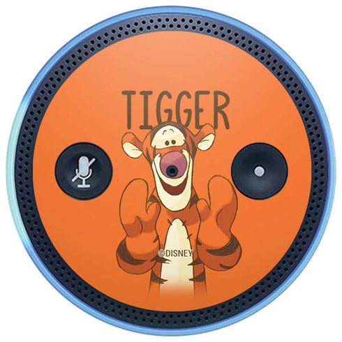 Disney Winnie the Pooh Tigget Portrait Amazon Echo Skin