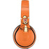 Disney Winnie the Pooh Tigget Portrait Beats Solo Pro Skin
