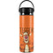 Disney Winnie the Pooh Tigget Portrait Hydro Flask 20oz Wide Mouth Skin