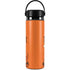 Disney Winnie the Pooh Tigget Portrait Hydro Flask 20oz Wide Mouth Skin