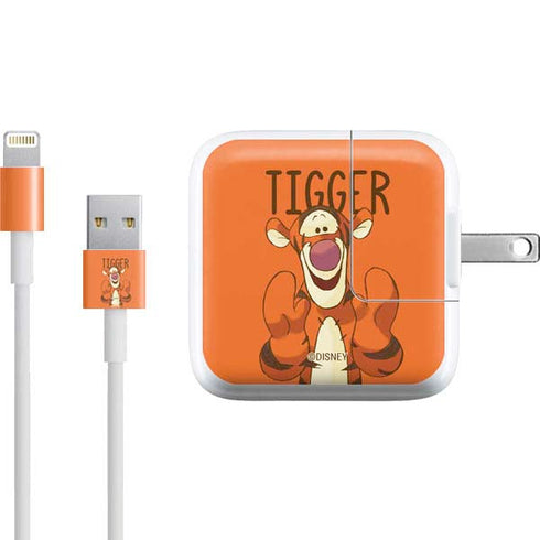 Disney Winnie the Pooh Tigget Portrait iPad Charger (10W USB) Skin