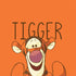 Disney Winnie the Pooh Tigget Portrait Otterbox Commuter Galaxy Skin