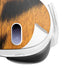 Tigress Meta Quest 3 Skin