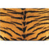 Tigress Dell Vostro Skin