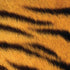 Tigress Animal Print iPhone XR Skin