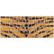 Tigress Animal Print Magic Keyboard Skin