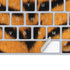 Tigress Animal Print Magic Keyboard Skin