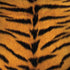 Tigress Animal Print Surface Book 2 13.5in Skin