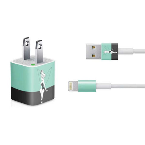 Disney Tinker Bell Color Block iPhone Charger (5W USB) Skin