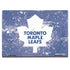 NHL Toronto Maple Leafs Frozen HP Envy Skin