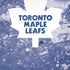 NHL Toronto Maple Leafs Frozen iPhone XS Skin