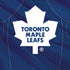 NHL Toronto Maple Leafs Home Jersey iPhone XS Skin