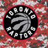NBA Toronto Raptors Digi PS4 Console Skin