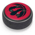 NBA Toronto Raptors Large Logo Amazon Echo Dot Skin