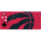 NBA Toronto Raptors Large Logo Xbox Adaptive Controller Skin