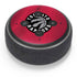NBA Toronto Raptors Logo Amazon Echo Dot Skin