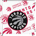 NBA Toronto Raptors Logo Blast Corsair 4000D Tempered Glass Mid-Tower ATX Case Skin