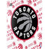 NBA Toronto Raptors Logo Blast PS5 Bundle Skin