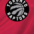 NBA Toronto Raptors Logo iPhone XR Skin