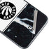 NBA Toronto Raptors Marble iPhone 11 Skin