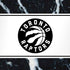 NBA Toronto Raptors Marble iPhone XR Pro Case
