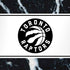 NBA Toronto Raptors Marble iPhone XS Pro Case