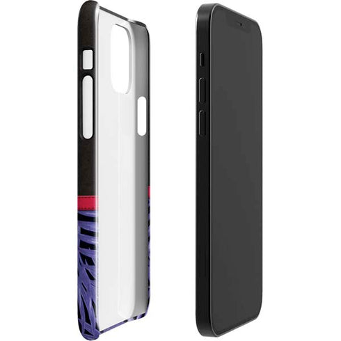NBA Toronto Raptors Retro Palms iPhone 12 Mini Lite Case