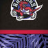 NBA Toronto Raptors Retro Palms iPhone X Pro Case