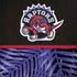 NBA Toronto Raptors Retro Palms Legion Y720 Skin