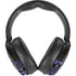 NBA Toronto Raptors Retro Palms Skullcandy Venue Skin