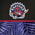 NBA Toronto Raptors Retro Palms Surface Book 2 13.5in Skin