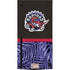 NBA Toronto Raptors Retro Palms Xbox Series X Console Skin