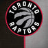 NBA Toronto Raptors Split Canvas iPhone X Pro Case