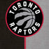 NBA Toronto Raptors Split Canvas iPhone XR Pro Case