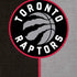 NBA Toronto Raptors Split Canvas iPhone XR Skin