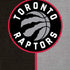 NBA Toronto Raptors Split Canvas iPhone XS Skin