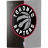 NBA Toronto Raptors Split Canvas PS5 Digital Edition Console Skin
