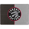 NBA Toronto Raptors Split Canvas Surface Pro 9 Skin