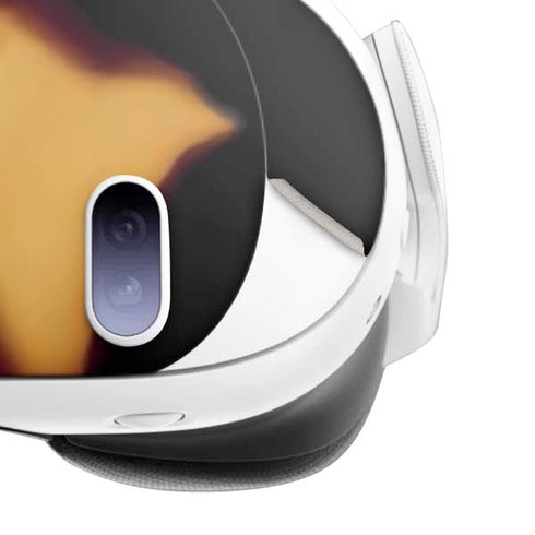 Tortoise Shell Meta Quest 3 Skin