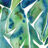 Cat Coq Tropical Leaves Moto E5 Play Skin