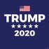 Trump 2020 Blue PS4 Slim Skin