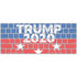 Trump 2020 Magic Keyboard Skin