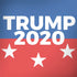 Trump 2020 Notebook 9 Pro 13in (2017) Skin