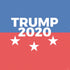 Trump 2020 PS4 Slim Skin