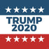 Trump 2020 Red White and Blue PS4 Slim Skin