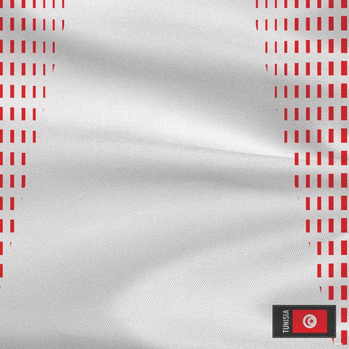 Tunisia Soccer Flag PS4 Console Skin